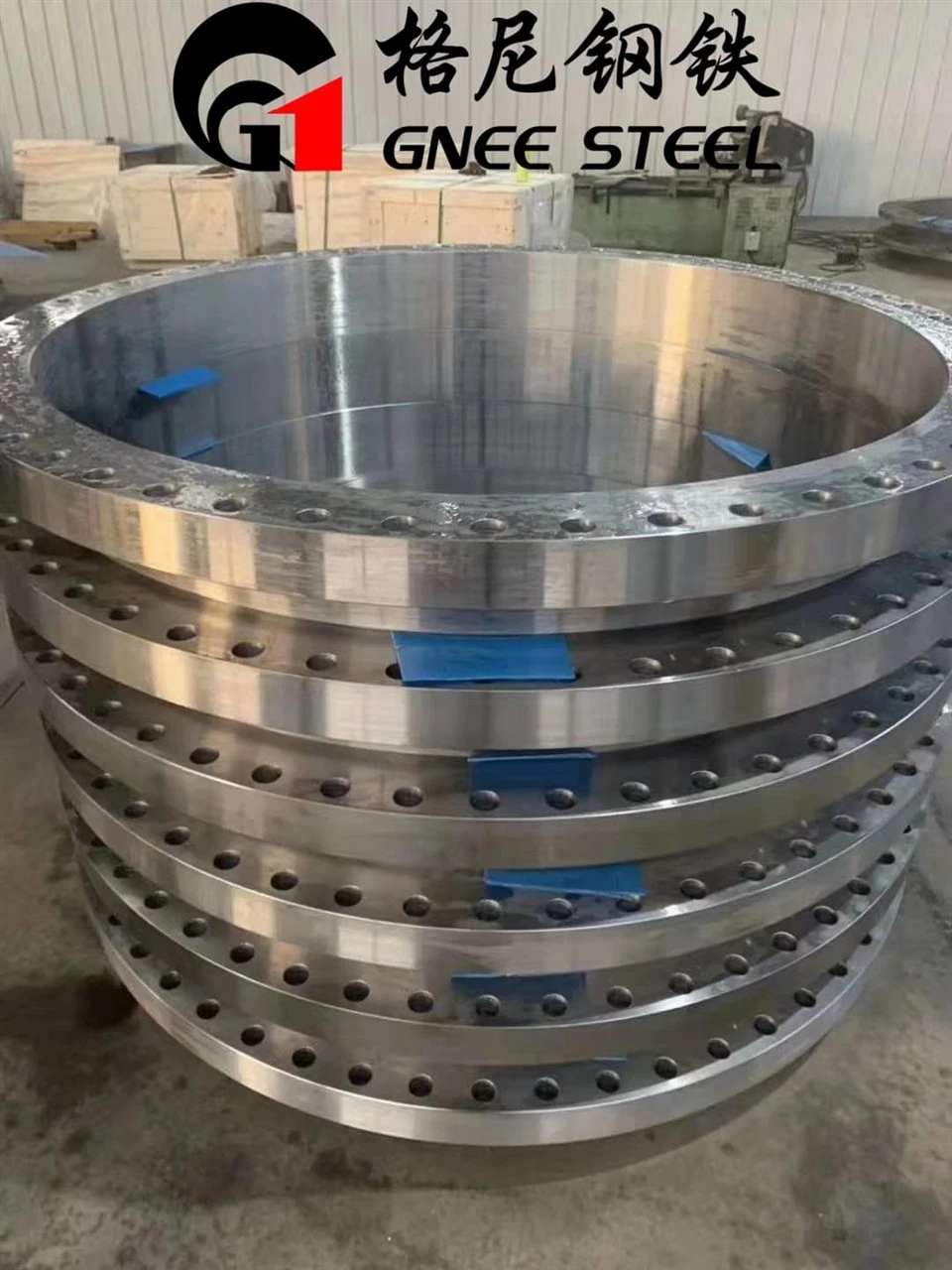 Stainless Steel Forged Raised Face Flange
